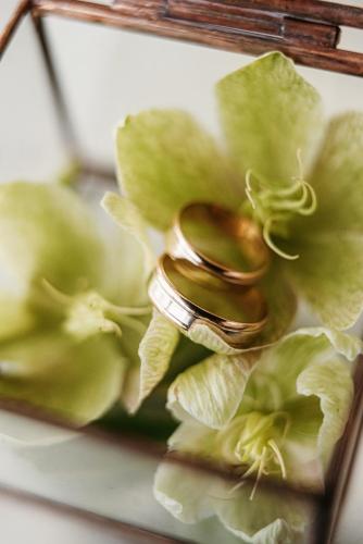 wedding rings with a wedding decor